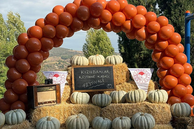 Bilecik'te Kızıldamlar Kestane Kabağı Festivali yapıldı