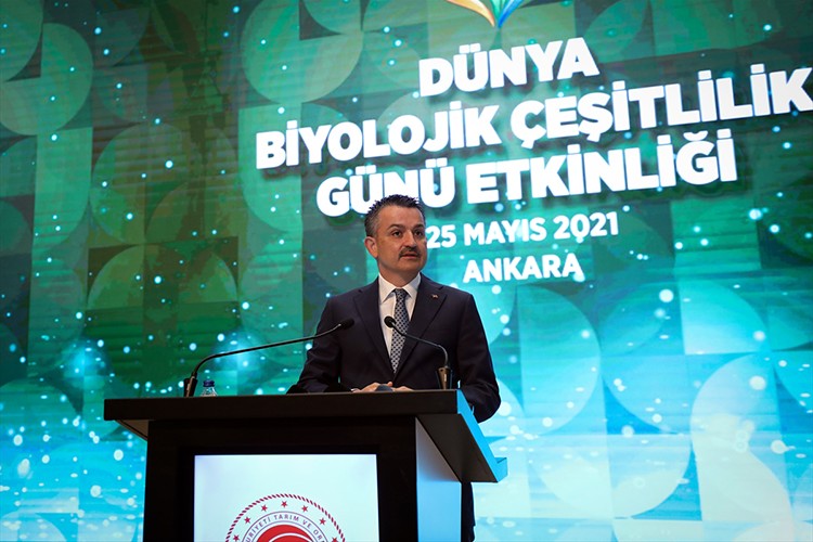 Biyolojik çeşitlilik Türkiye'de artıyor