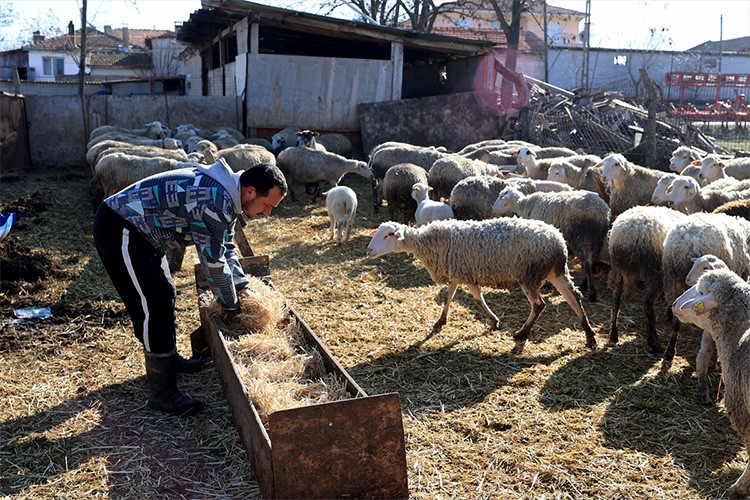Bedensel engelli genç, besici oldu