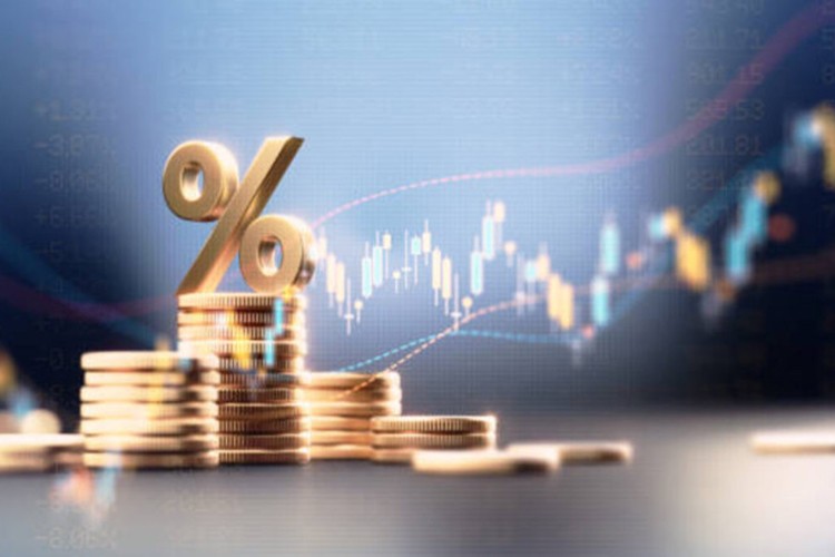 Bu yıl sürdürülebilir büyüme ve dezenflasyon öne çıkacak