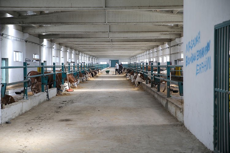 Besiciliği Avrupa standartlarında modern tesise taşıdı