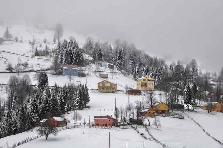 Kadıralak Yaylası'nın "mavi yıldızlar"ı kar altında kaldı
