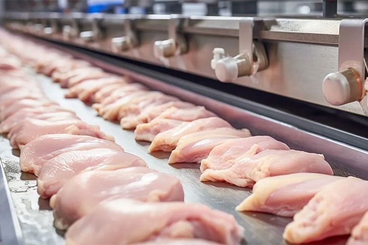 Tavuk eti üretimi aylık yüzde 4,8 azaldı