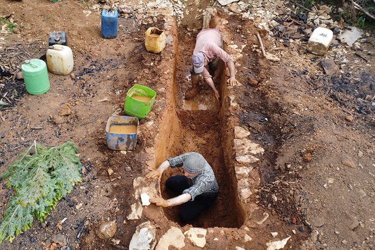 Geleneksel yöntemlerle sedir katran yağı üretiliyor