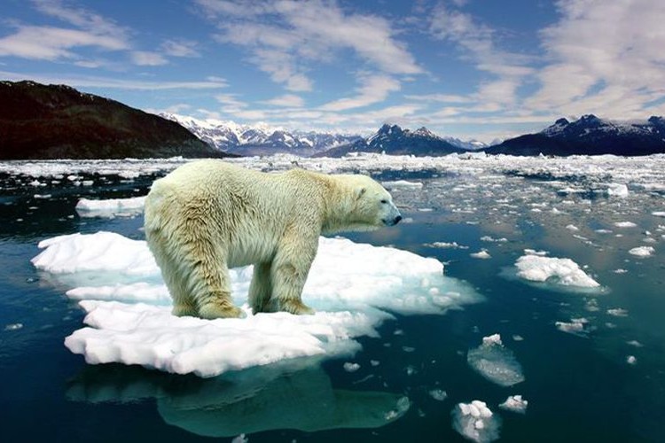 Küresel ısınma gıda enflasyonunu her yıl yüzde 3 artırabilir