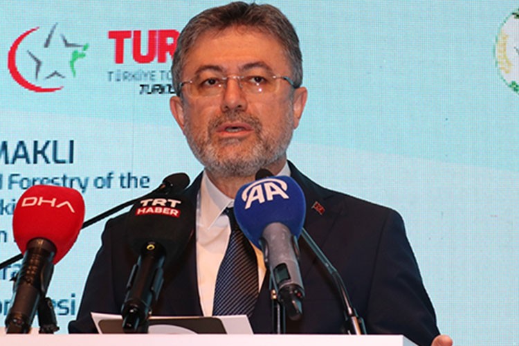 "Memnuniyet verici ilerleme kaydedildiğini rahatça söyleyebiliriz"