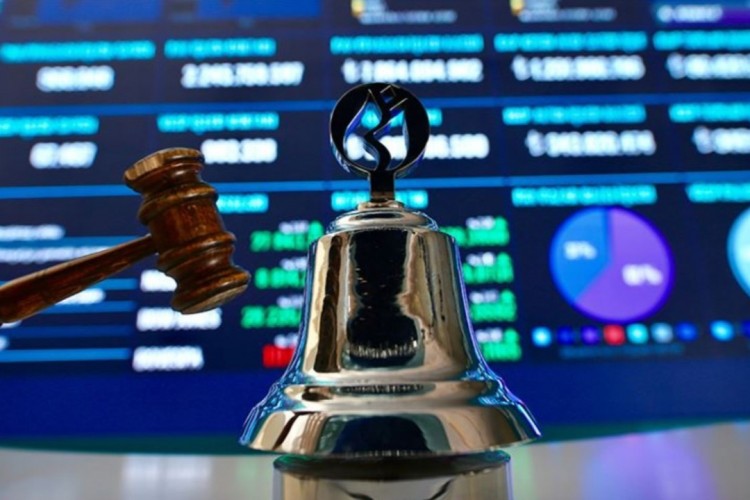 İki şirket daha halka arz oluyor