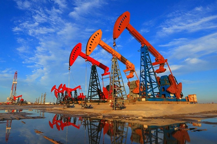 Petrolün fiyatı hafif yükseldi