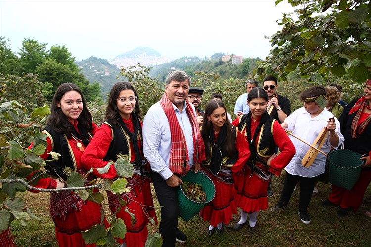 Giresun'da "Fındık Hasat Şenliği" gerçekleştirildi