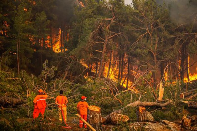 Yangın bölgeleri için mücbir sebep ilan edildi