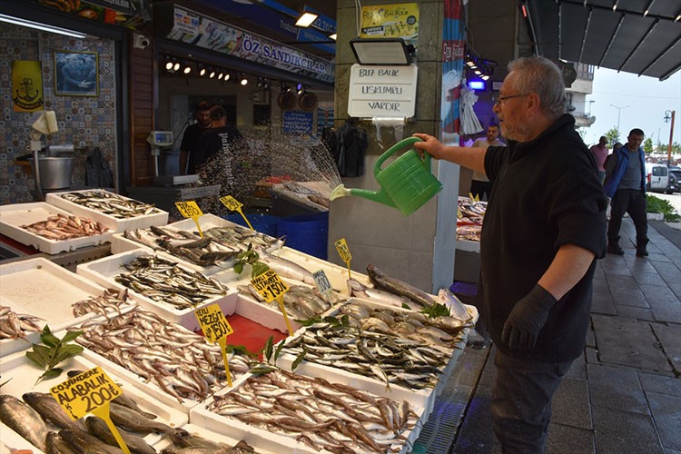 Trabzon'da balık çeşitleri tezgahları süslüyor