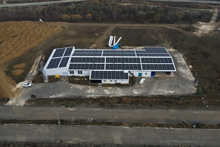 Sarımsak fabrikasının enerjisi güneşten karşılanıyor