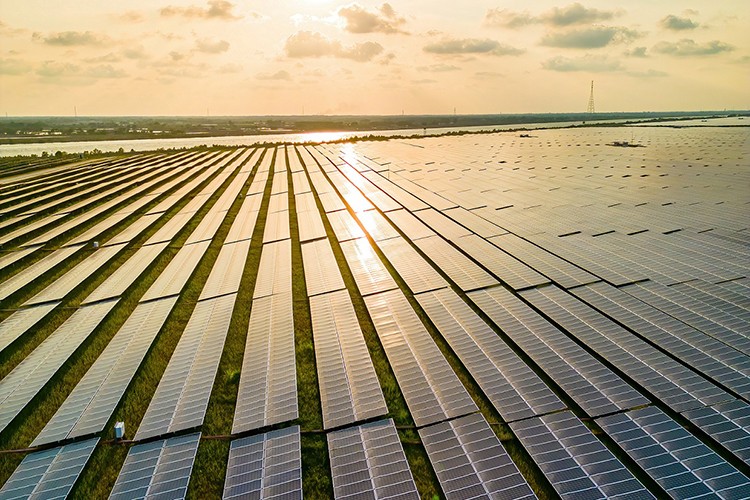 Halka arzında talep toplama yarın başlıyor