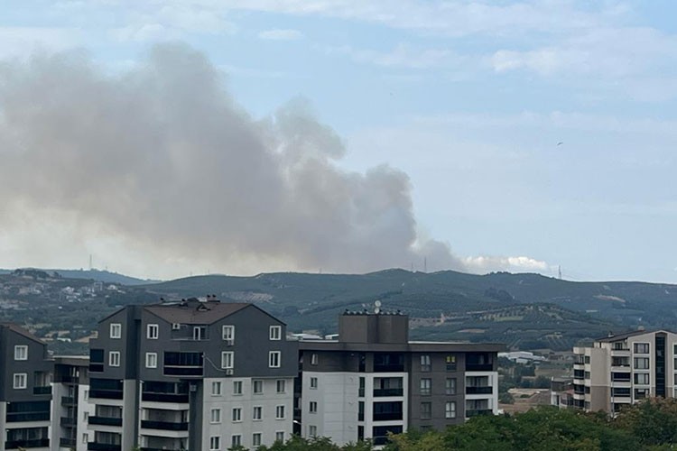 Bursa'da çıkan orman yangını kontrol altına alındı