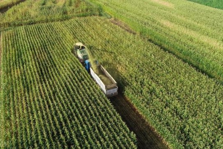Tarım sigortaları sözleşmelerinde şartlar değişti