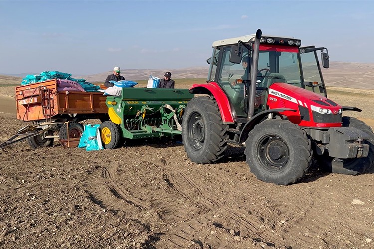 Yozgat'ta kuraklık nedeniyle buğday ekimi kasım ayına sarktı