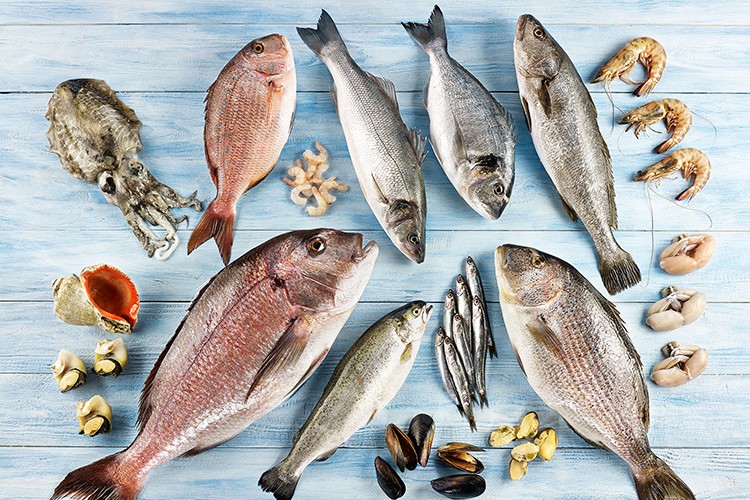 6 aylık su ürünleri ihracatı 829 milyon dolar