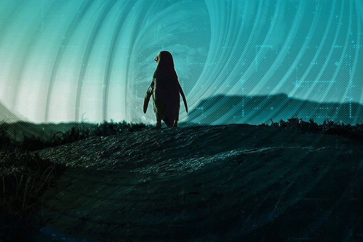 İş teklifinin içinden siber saldırı çıktı