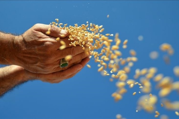 Ocak ayında temel gıda ihracatı 1,03 milyar dolar