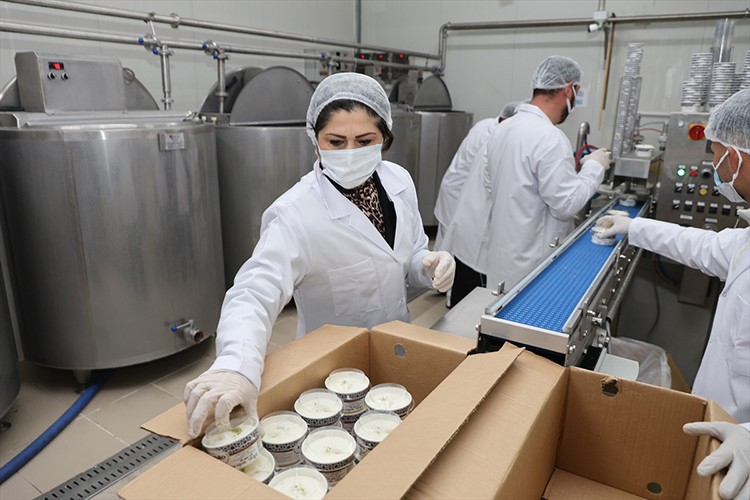 Kendi dondurma markasını kurdu