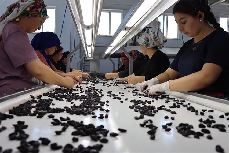 Kilis kuru üzümle dünyaya açılmayı hedefliyor