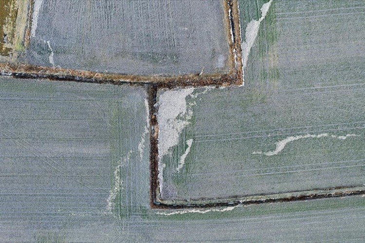 Devlet destekli tarım sigortalarında son 5 yılda en fazla ödeme don hasarlarına yapıldı