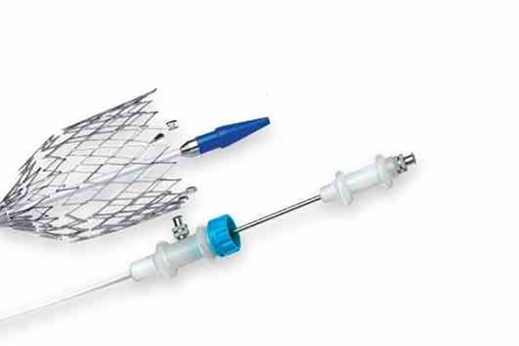 Kalp hastalığı için Atlas Aortik Nitinol Stent