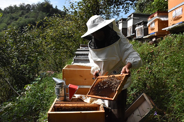 Karadenizli kadın arıcı 38 yıldır bal üretiyor