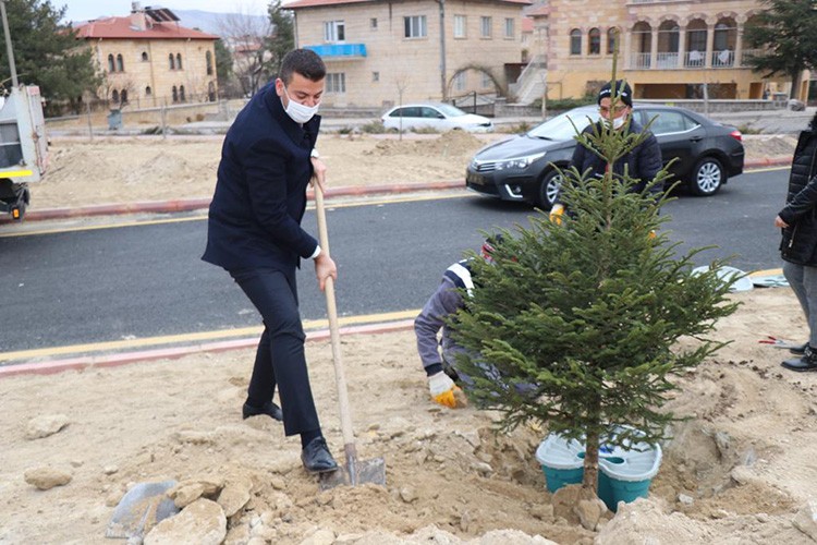 Fidanlar ekobox sistemi ile dikiliyor