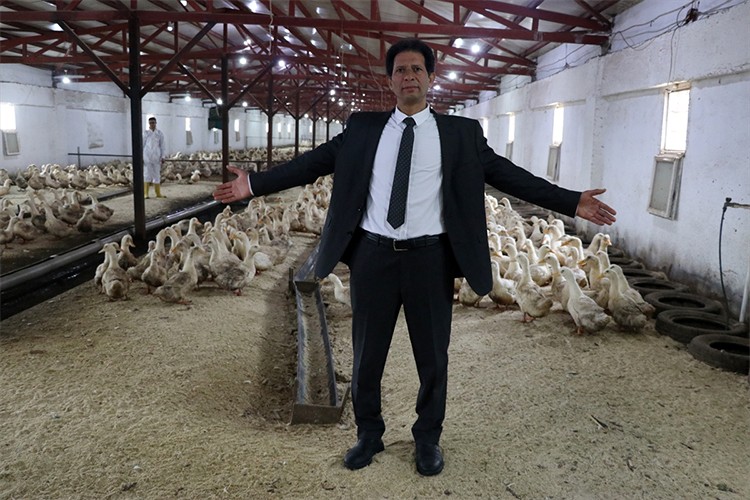 Kütahya'da kurduğu çiftlikte Pekin ördeği yetiştiriyor