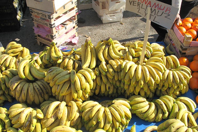 Maldivler'e Türk muzu