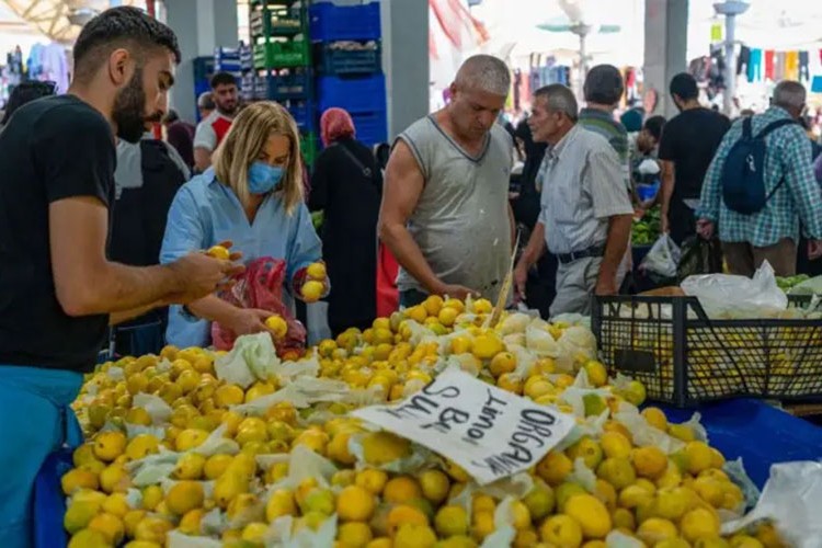 Limon fiyatları neden çok yükseldi?