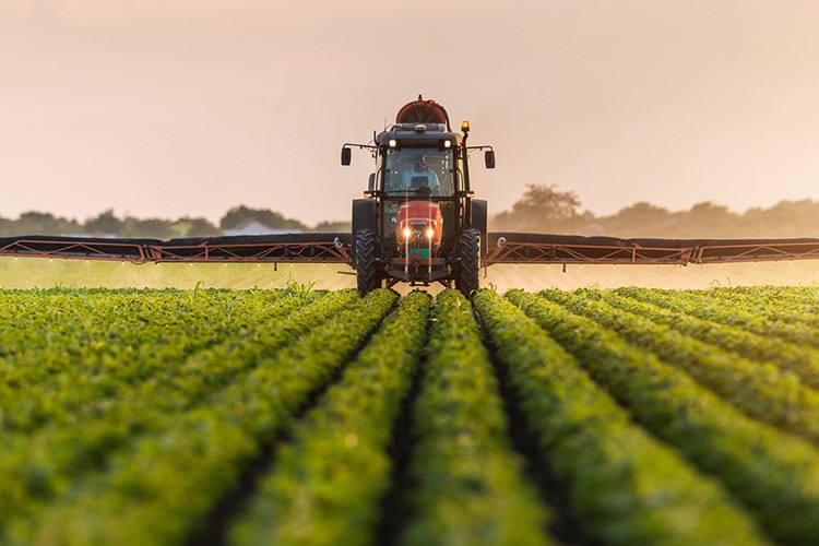 TASAV "Tarım, Gıda ve Hayvancılık" sempozyumunun sonuç bildirgesini açıkladı: