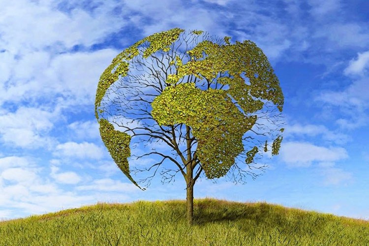 Türkiye iklim politikasında yeni dönem başlıyor