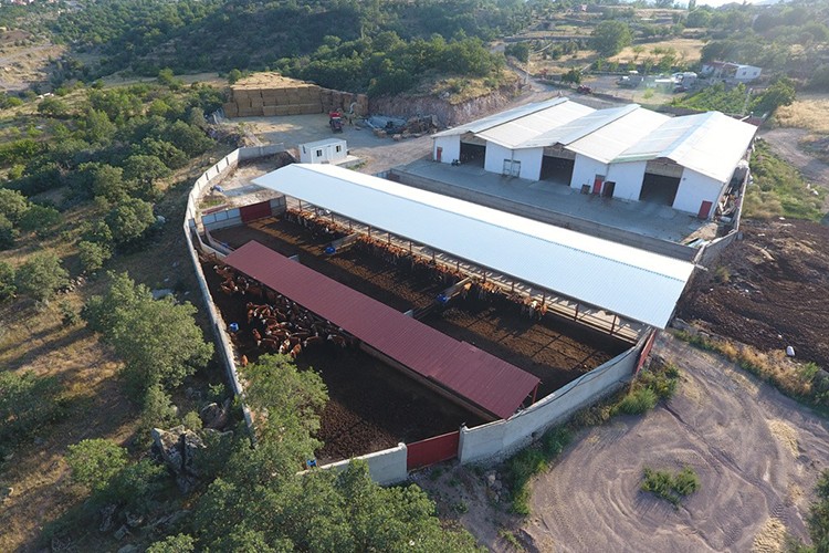 31 milyon lira hibe desteği