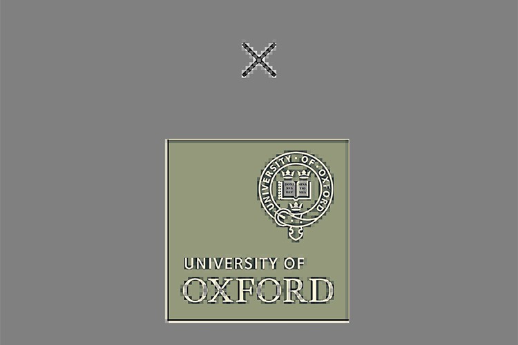 Kanser Bağışıklandırma Araştırmalarında Yeni Dönem Başlıyor