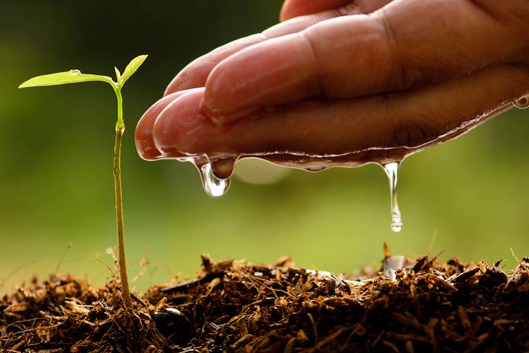 "Gübre tedarikinde sorun yaşanmayacak"