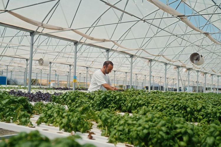 GetirBüyük meyve ve sebzede tazeliği ileri taşıdı