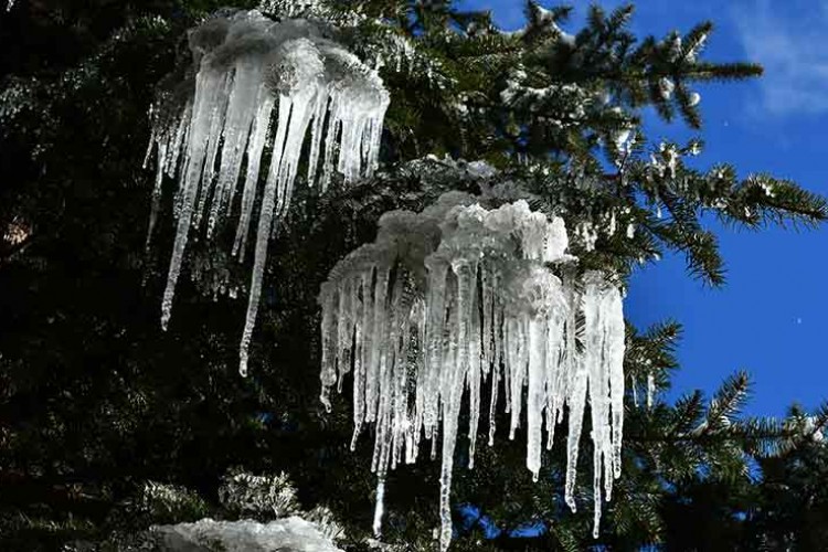 Doğu Anadolu'da göletler dondu, binalarda buz sarkıtı oluştu