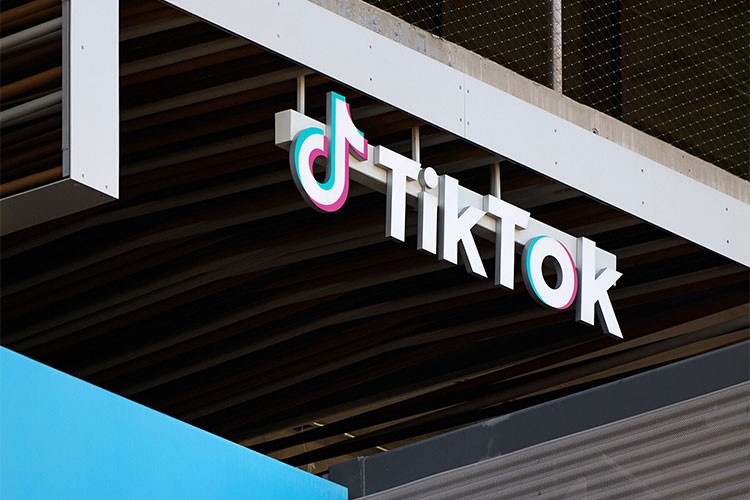 TikTok, yasaklama için Yüksek Mahkemeye başvurdu