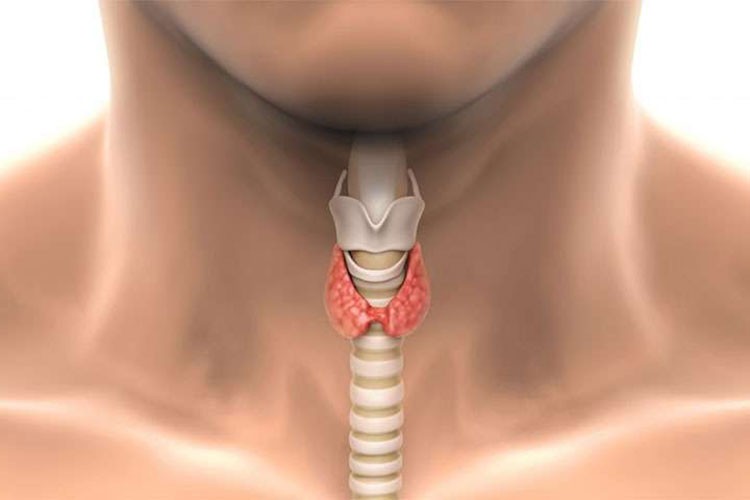 Tiroid kanseri ve tedavisine yönelik değerlendirme