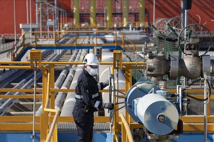 Enerji ithalatı yüzde 0,8 arttı