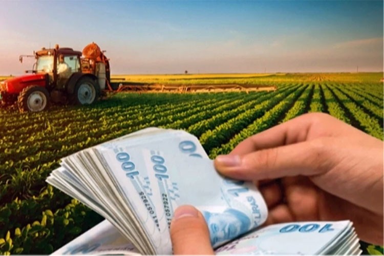 Tarım ürünleri üretici fiyatları yüzde 2.74 arttı