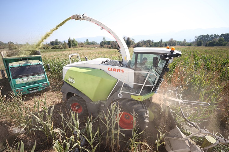 Mısırda geçen yılki rekolte yakalandı