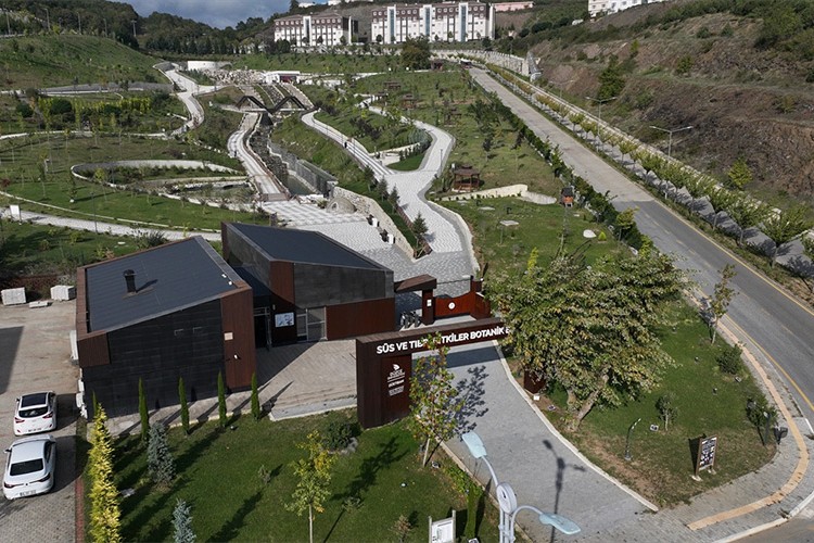 Endemik bitkiler botanik bahçede korunuyor