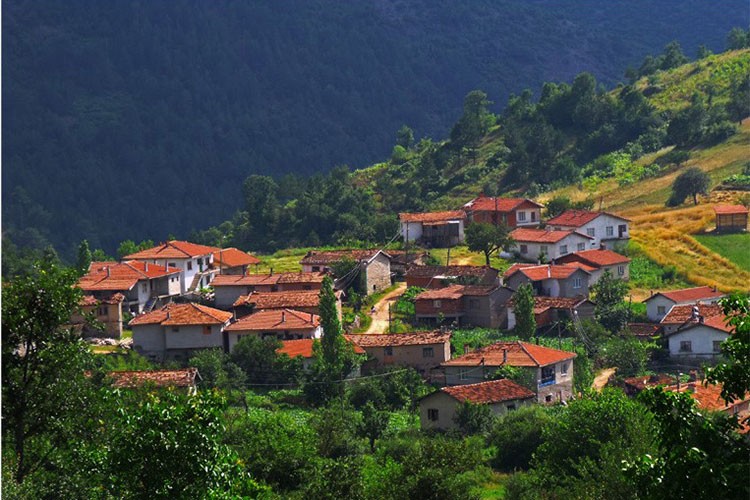Kırsal alanlara ve küçük kasabalara ilgi artıyor