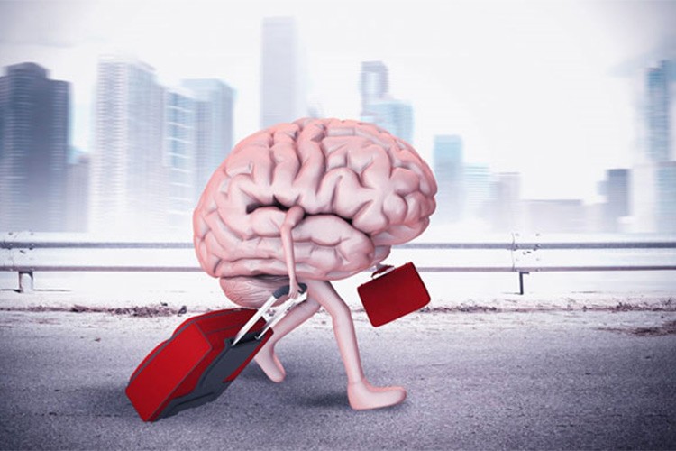 Türkiye'den beyin göçü oranı yüzde 2 oldu