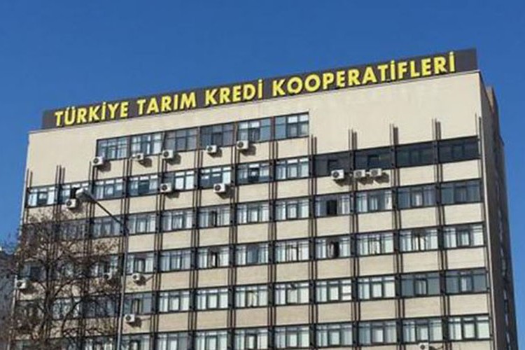 Danışmanlık hizmeti alacak