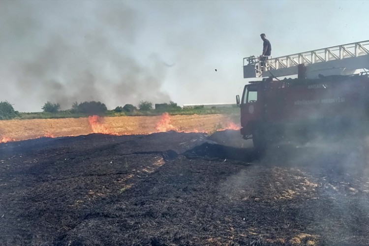 Yangında palmiye ağaçları ve pamuk tarlası zarar gördü