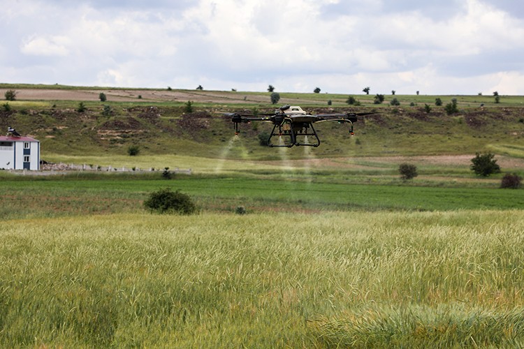 Talas'ta drone ile ilaçlama devri